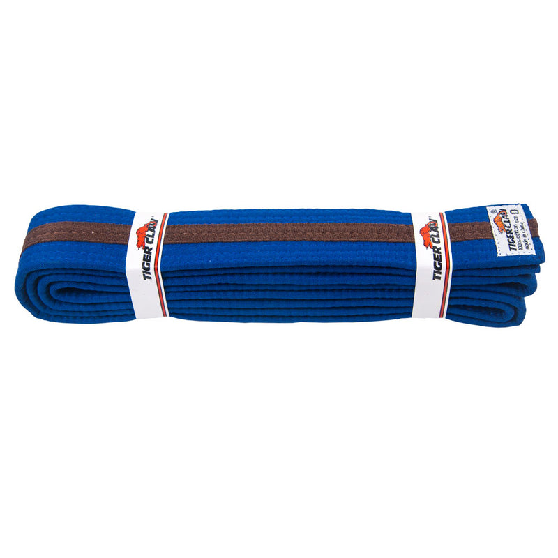 Belt - Blue with Brown Stripe