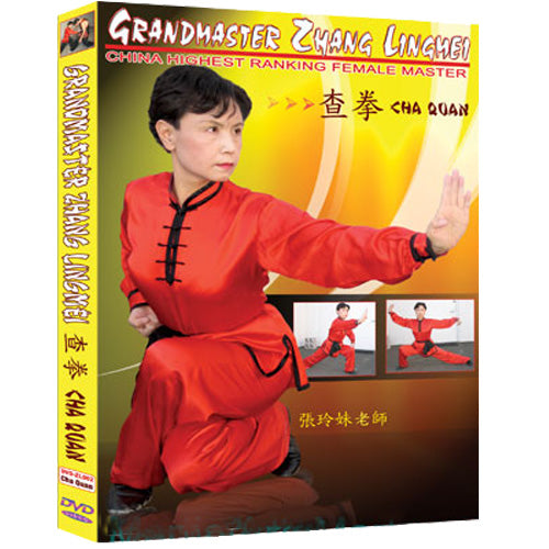 Grandmaster Zhang Lingmei - Cha Quan