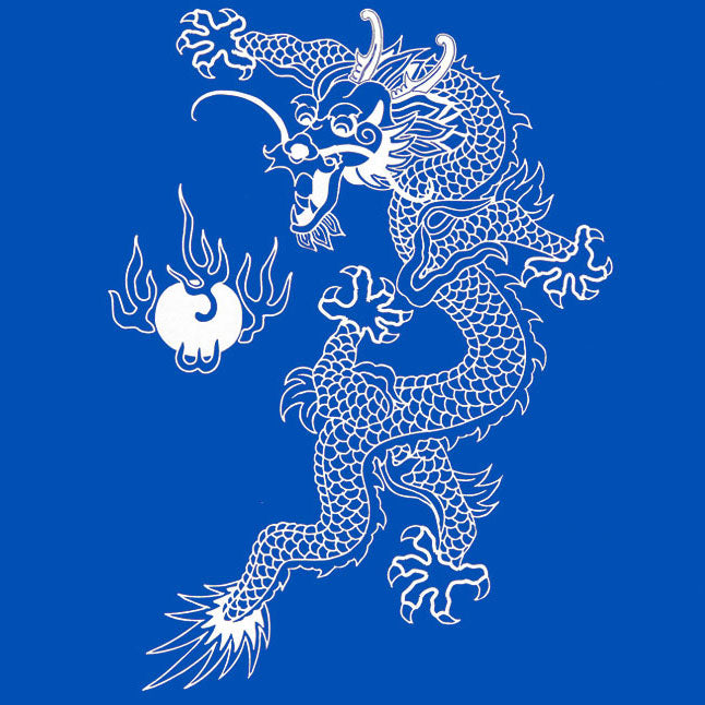 T-Shirt - Fire Dragon in White Graphic