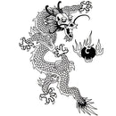 Fire Dragon (Black Graphic) - Other Garment