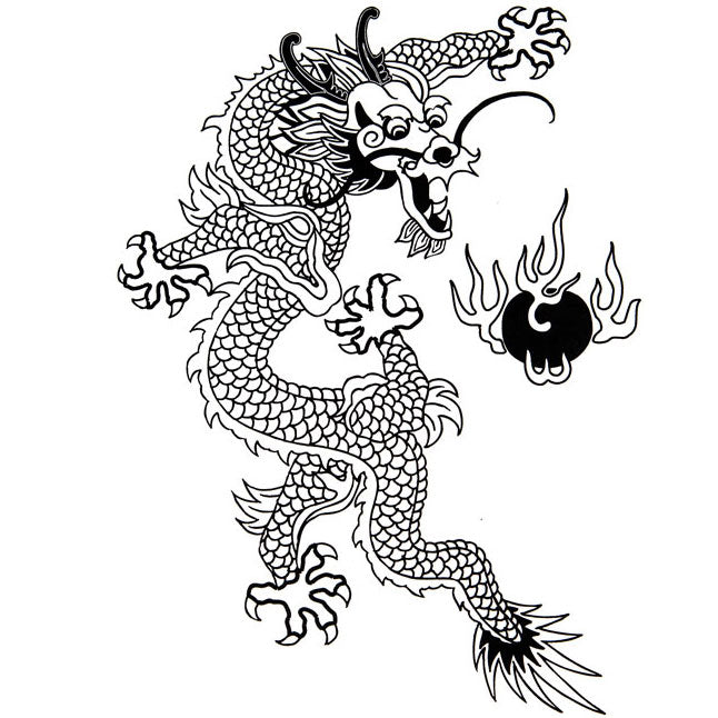 Fire Dragon (Black Graphic) - Other Garment