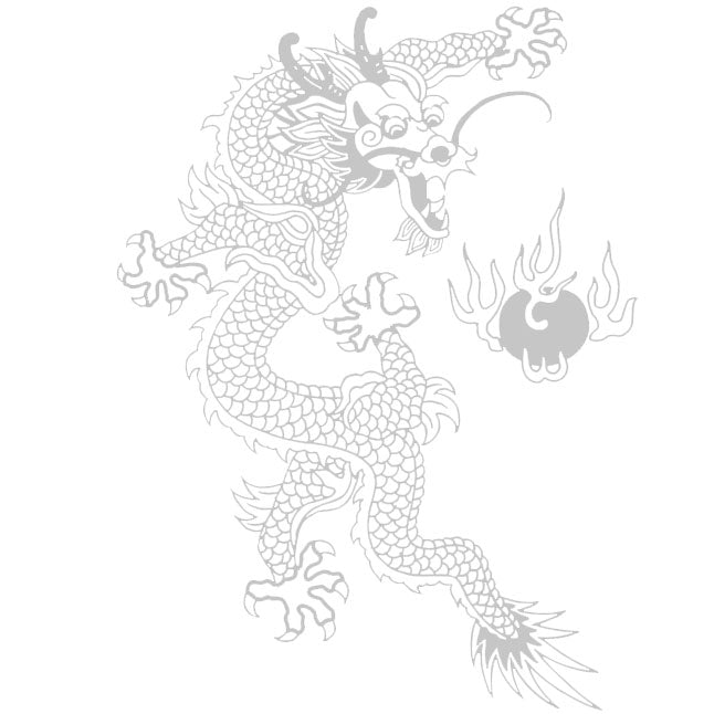 Fire Dragon (Silver Graphic) - Other Garment