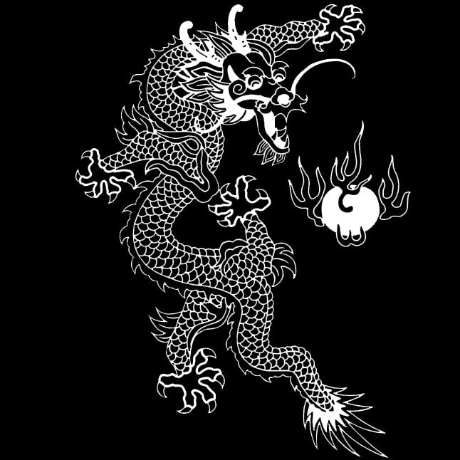 Fire Dragon (White Graphic) - Other Garment