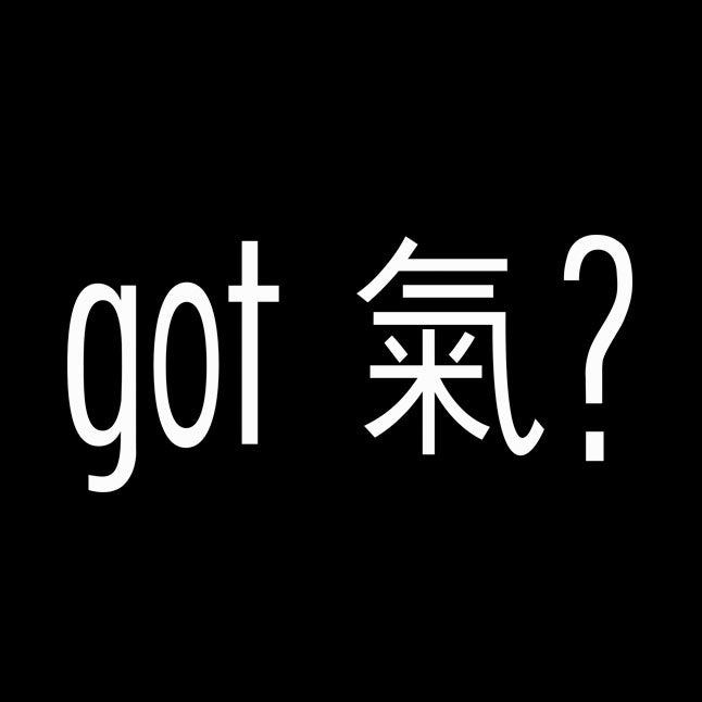 Got Qi (Qi in Chinese) - Hoodie