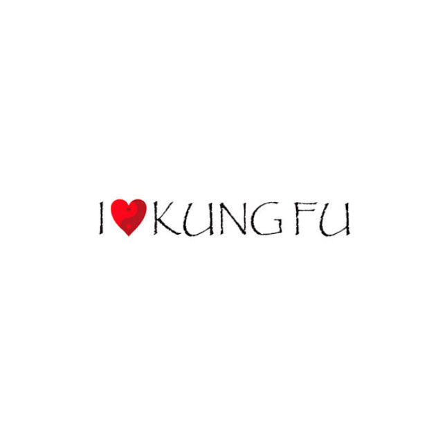 I Love Kung Fu