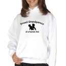 Proud Grandparent of a Karate Kid - Hoodie