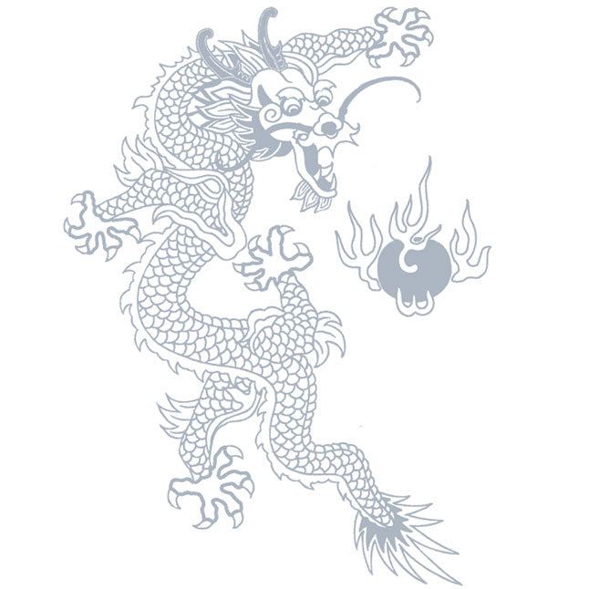 T-Shirt - Fire Dragon in Silver Graphic