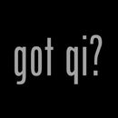 T-Shirt - Got Qi - 25th Anniversary - Silver