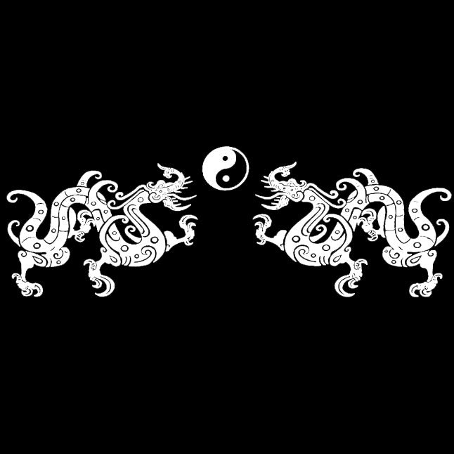 Twin Dragon (White Graphic) - Other Garment